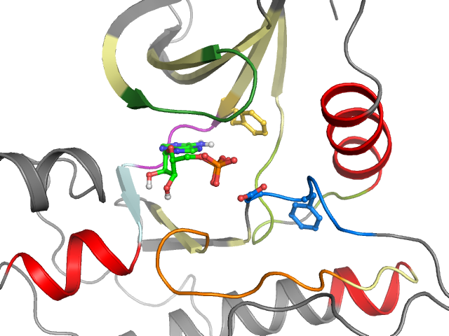 The orthosteric binding pocket