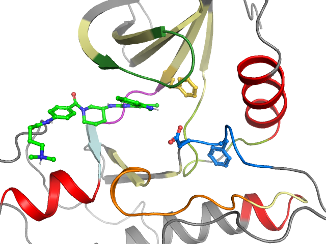 The orthosteric binding pocket