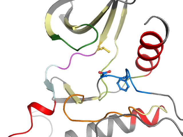 The orthosteric binding pocket