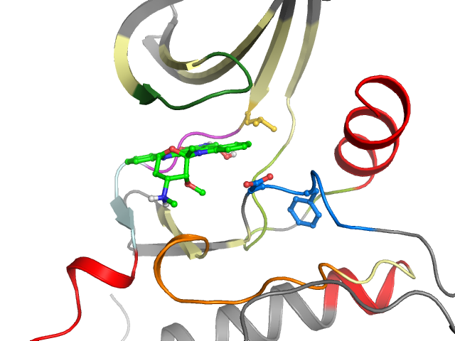 The orthosteric binding pocket