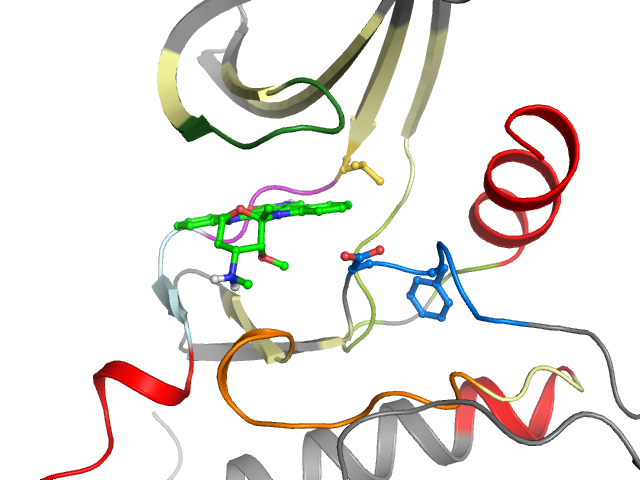 The orthosteric binding pocket