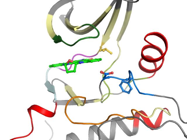 The orthosteric binding pocket
