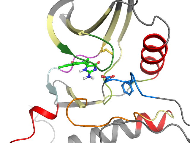The orthosteric binding pocket