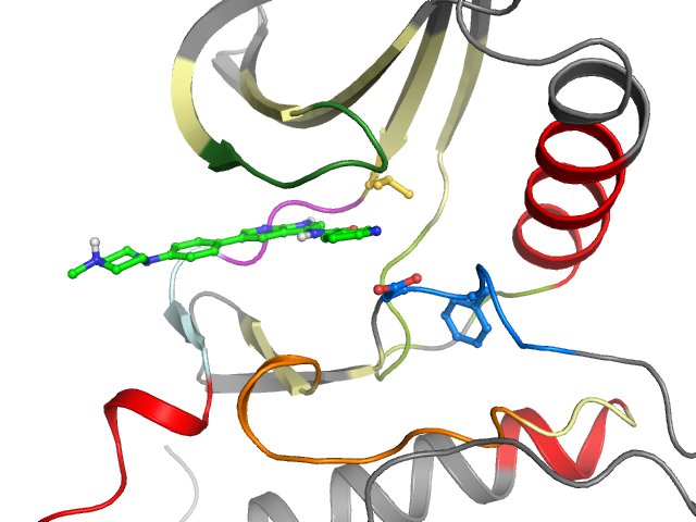 The orthosteric binding pocket