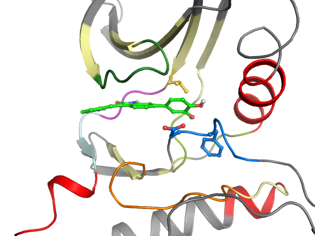 The orthosteric binding pocket