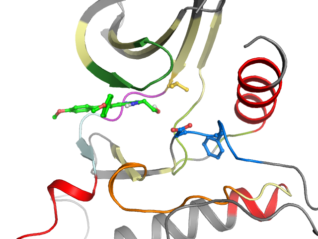 The orthosteric binding pocket