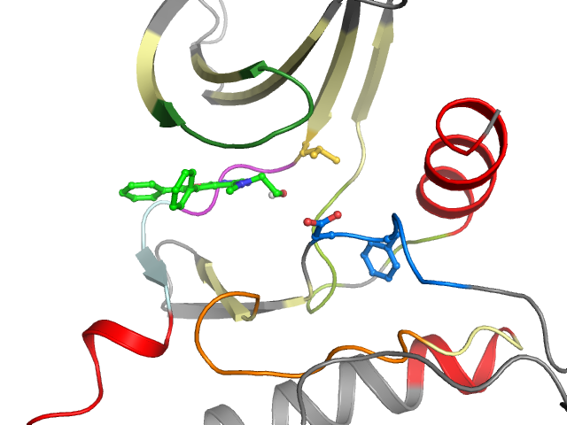 The orthosteric binding pocket