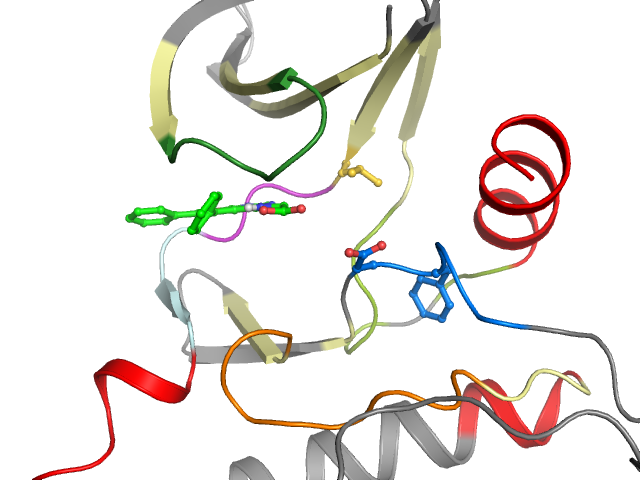 The orthosteric binding pocket