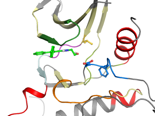 The orthosteric binding pocket