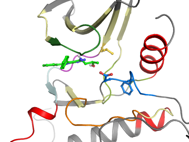 The orthosteric binding pocket