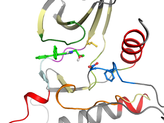 The orthosteric binding pocket