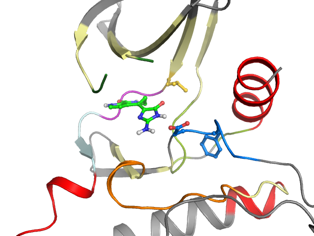 The orthosteric binding pocket