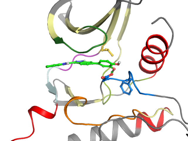 The orthosteric binding pocket