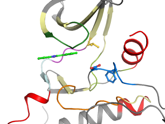The orthosteric binding pocket