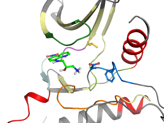 The orthosteric binding pocket