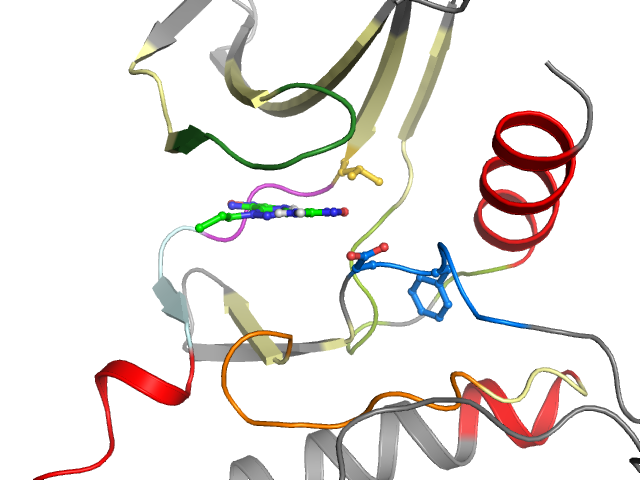 The orthosteric binding pocket