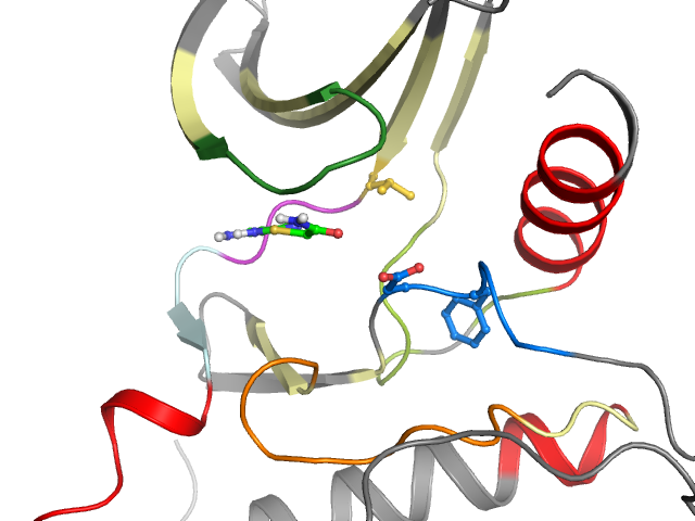 The orthosteric binding pocket