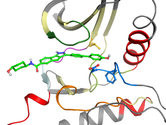 The orthosteric binding pocket
