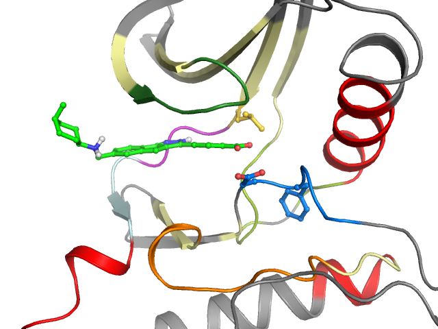 The orthosteric binding pocket