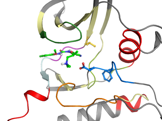 The orthosteric binding pocket