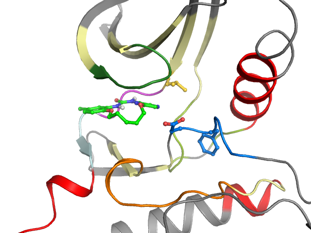 The orthosteric binding pocket