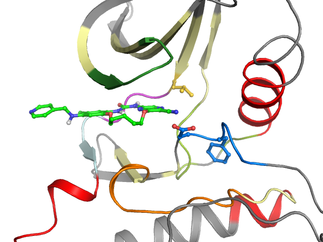 The orthosteric binding pocket