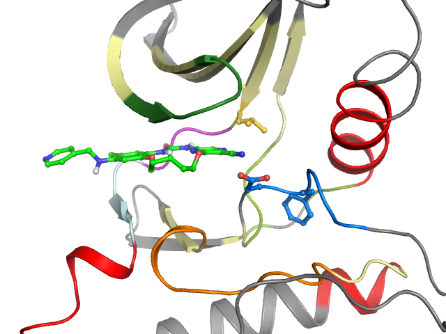 The orthosteric binding pocket