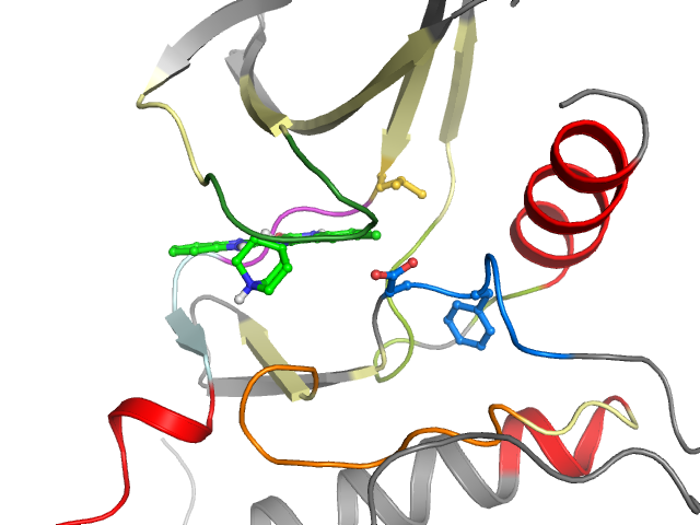 The orthosteric binding pocket