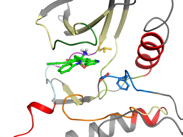 The orthosteric binding pocket