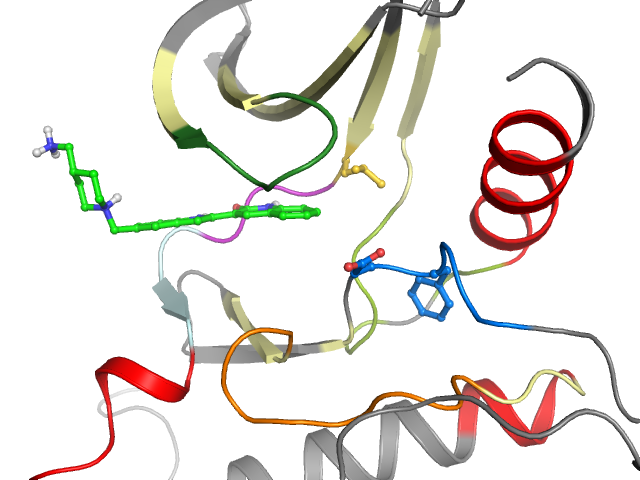The orthosteric binding pocket