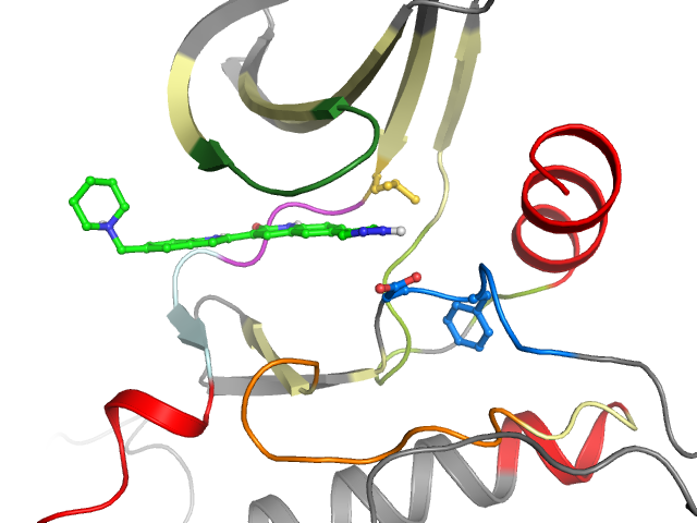 The orthosteric binding pocket