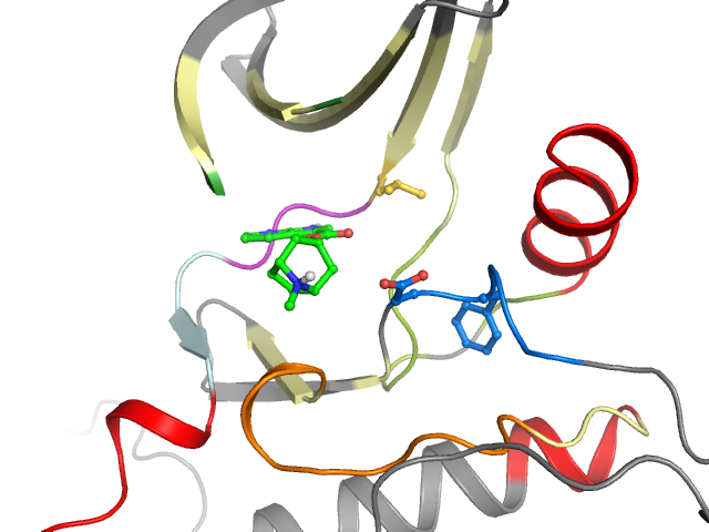 The orthosteric binding pocket