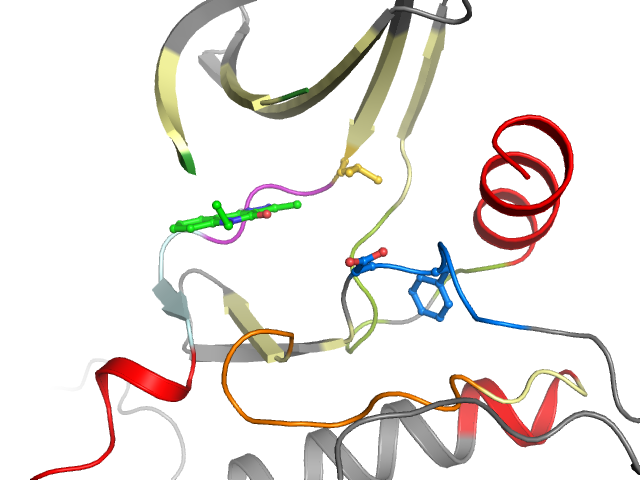 The orthosteric binding pocket