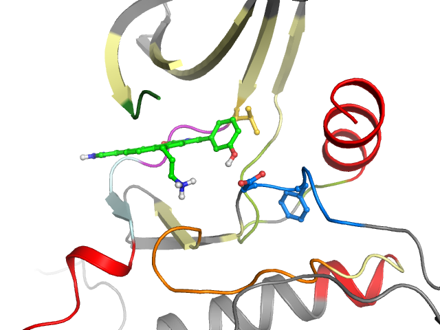 The orthosteric binding pocket
