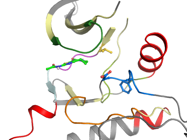 The orthosteric binding pocket