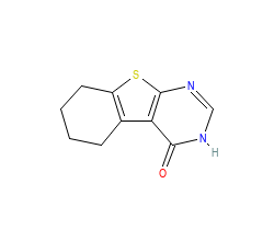 2D structure of the orthosteric ligand