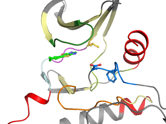 The orthosteric binding pocket