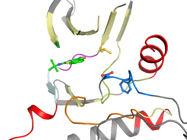The orthosteric binding pocket