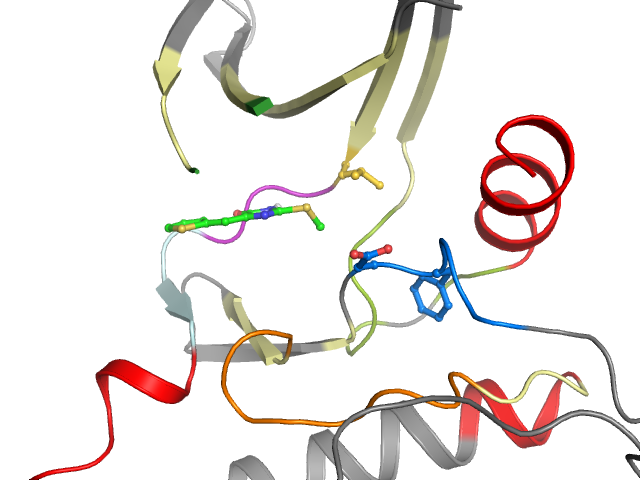 The orthosteric binding pocket