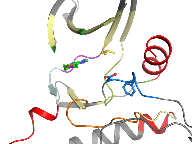 The orthosteric binding pocket