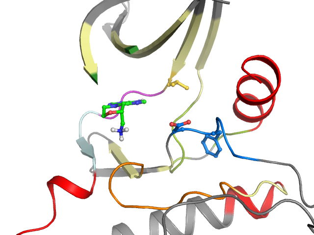 The orthosteric binding pocket