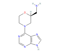 2D structure of the orthosteric ligand