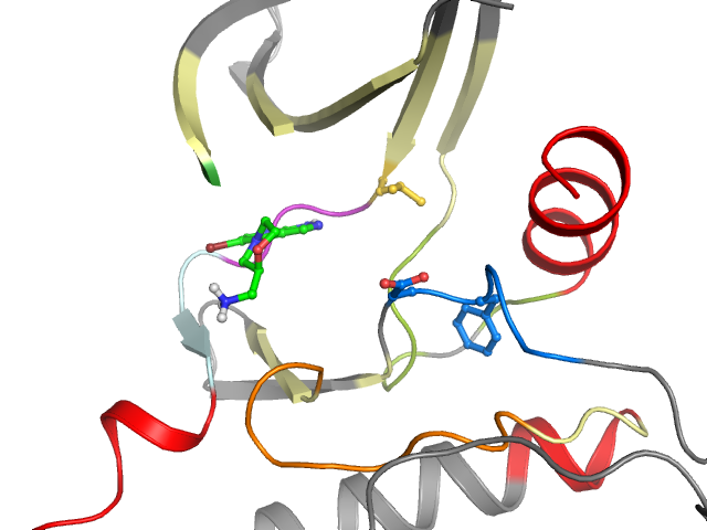 The orthosteric binding pocket