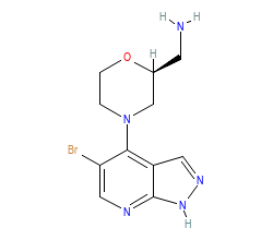 2D structure of the orthosteric ligand