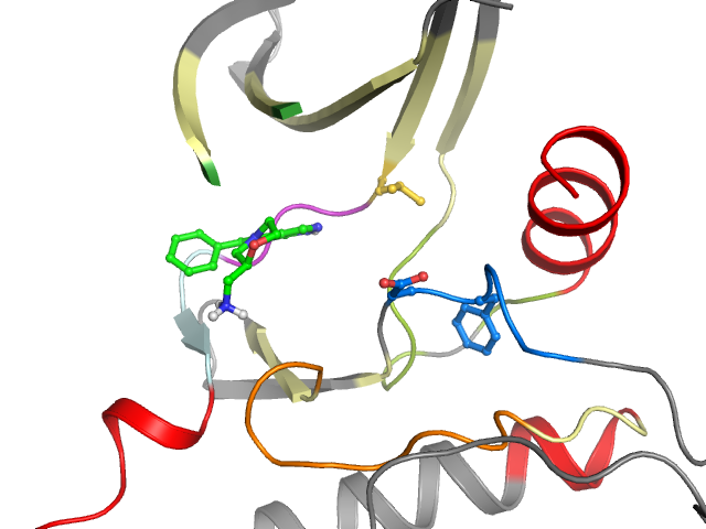 The orthosteric binding pocket
