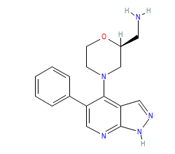 2D structure of the orthosteric ligand