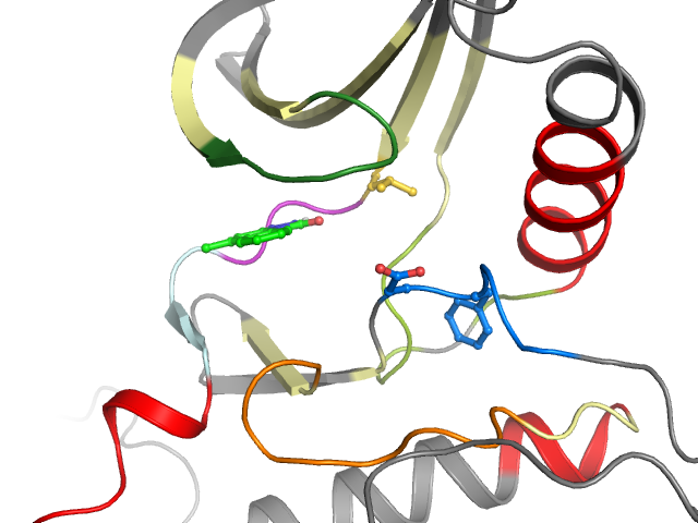 The orthosteric binding pocket