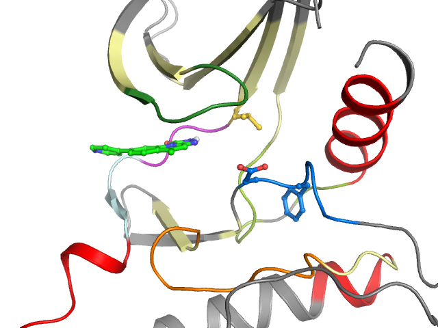 The orthosteric binding pocket