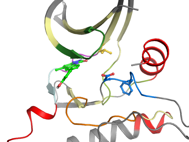 The orthosteric binding pocket