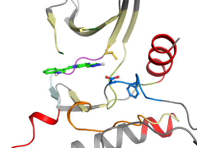 The orthosteric binding pocket